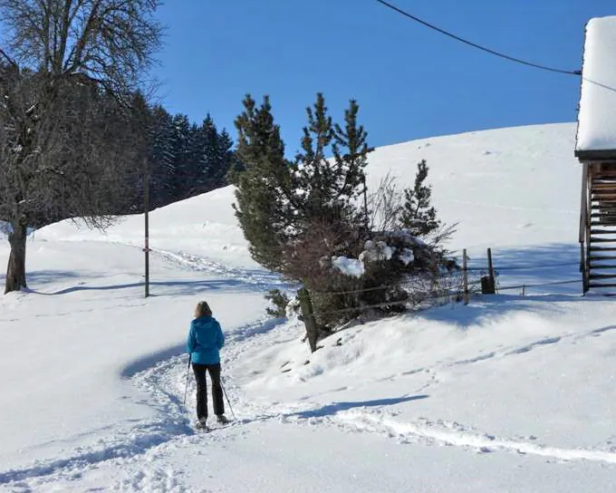 Parcours du Mont-Pèlerin