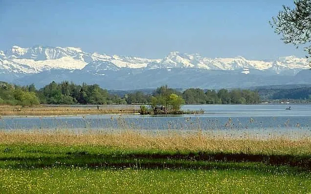 Greifensee