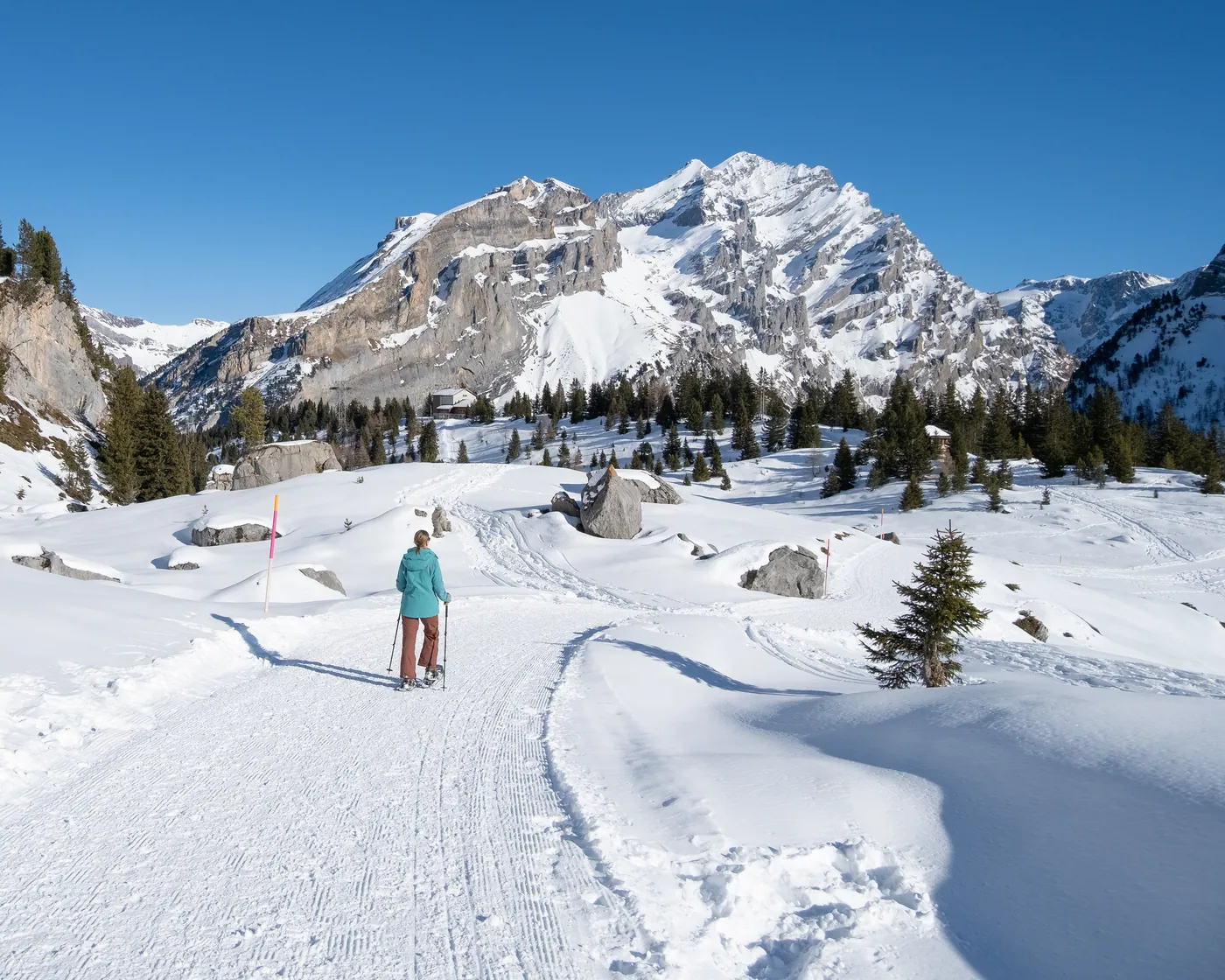 Spittelmatte Trail