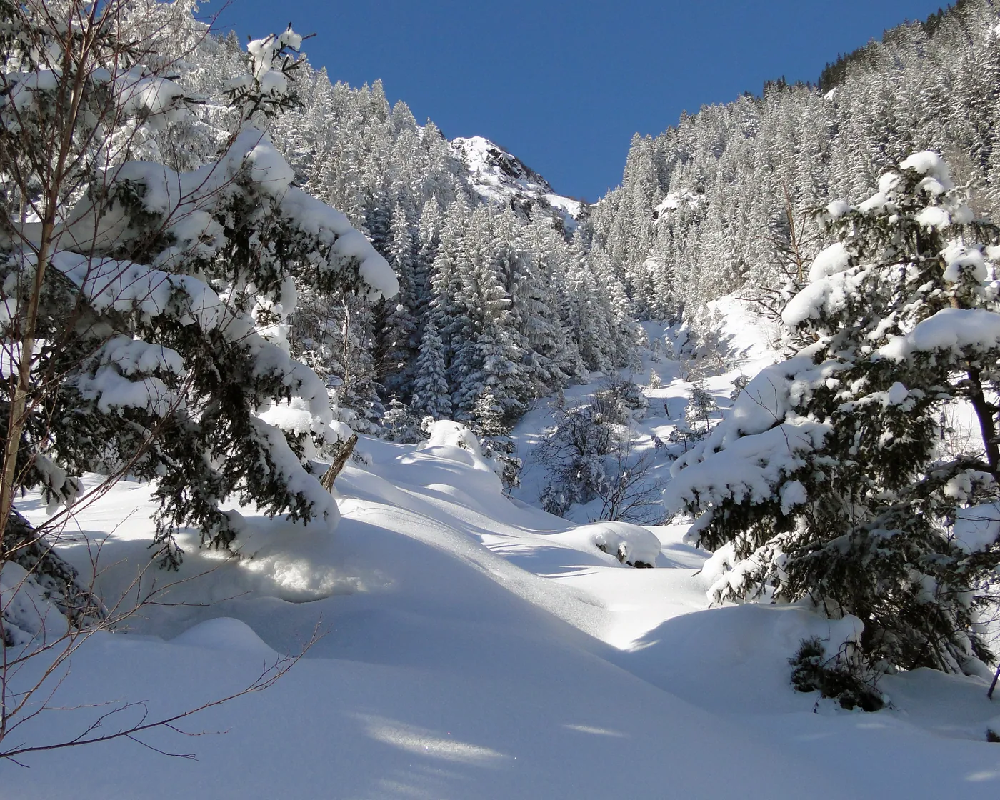Arnisee-Weg