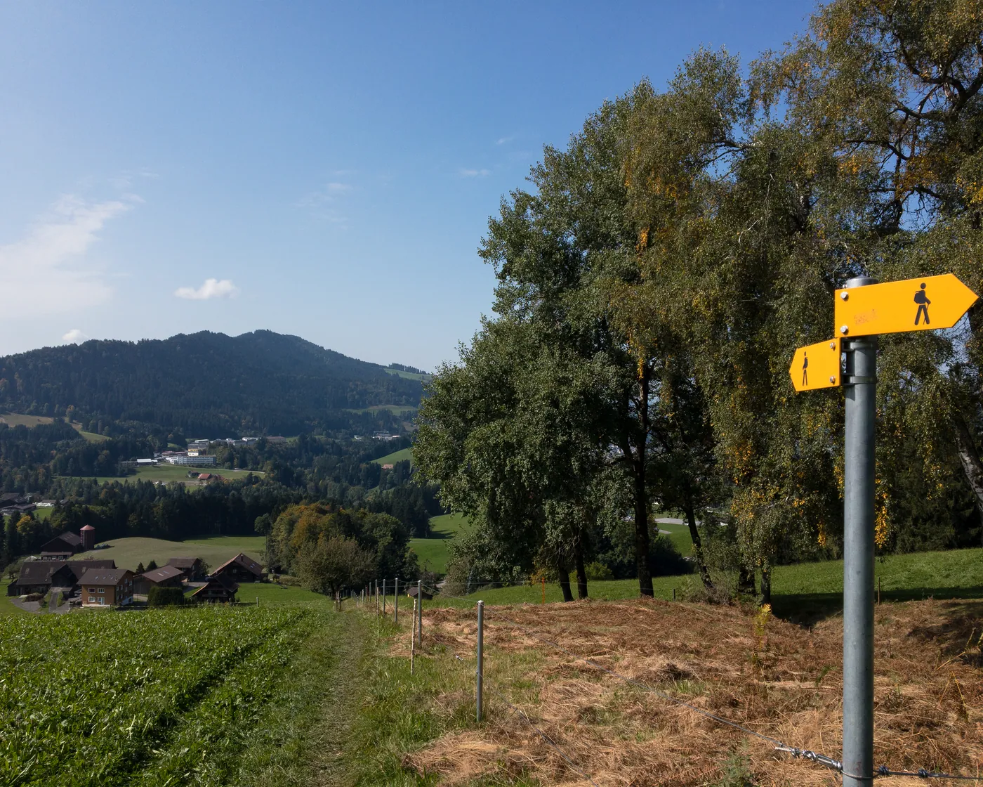 Zürichsee-Rundweg